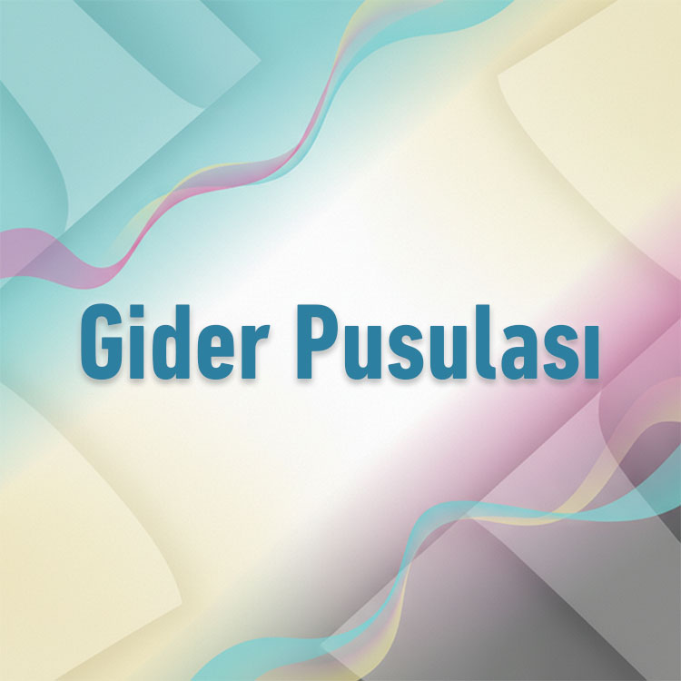 Gider Pusulası