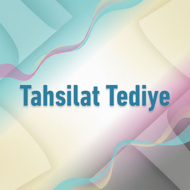 Tahsilat Tediye Makbuzu