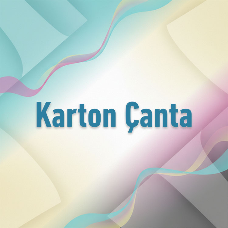 Karton Çanta